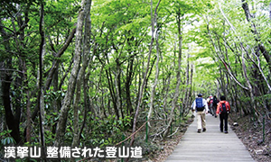 漢拏山 整備された登山道