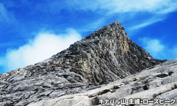 キナバル山 主峰・ローズピーク